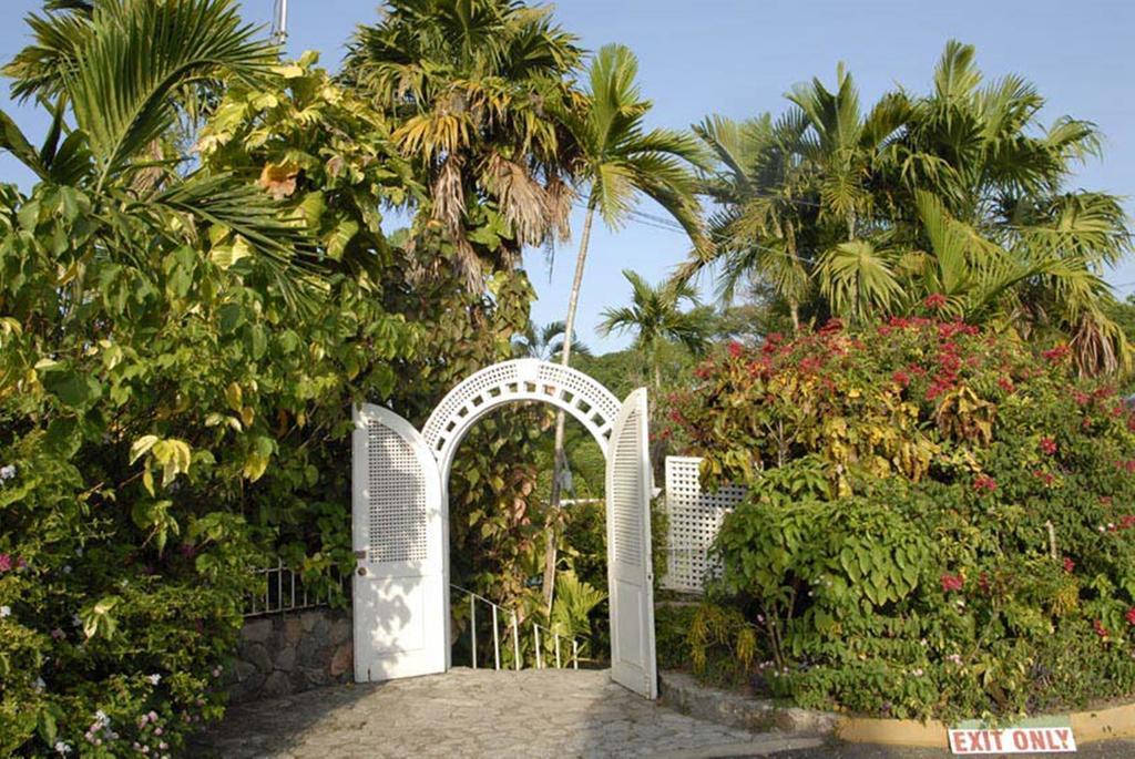 Shaw Park Beach Hotel & Spa Ocho Rios Dış mekan fotoğraf